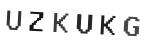 Verification Code Image