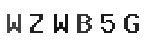 Verification Code Image