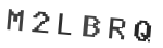 Verification Code Image